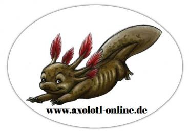 Aufkleber oval "Axolotl-online"