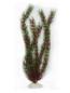 Preview: Kunststoffpflanze "Egeria sp." ca. 50 cm