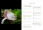 Preview: Axolotlkalender  AOF 2026