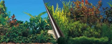 Rückwandfolie Beauty + Sea 80 x 40