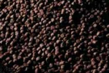 Nachfüllpack Axolotlpellets AXOBALANCE, 4 - 4,5mm ab ca. 15cm Körperlänge 85 g / (125ml)