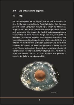 Ein Axolotl entsteht (Taschenbuch 2019)