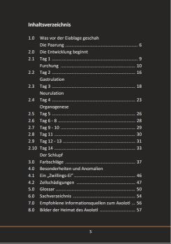 Ein Axolotl entsteht (Taschenbuch 2019)