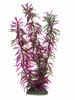 Kunststoffpflanze grün-violett ca. 40cm