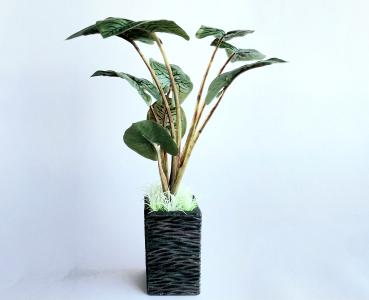 Kunststoffpflanze "Alocasia" ca. 25cm