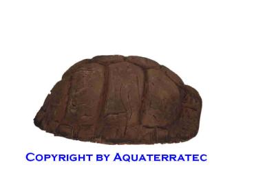 Tonhöhle Schildkrötenpanzer, Größe M
