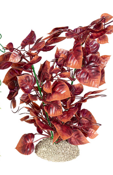 Kunststoffpflanze Anubias nana, rotbraun