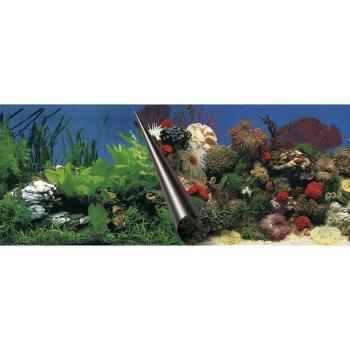 Rückwandfolie Stone + Coral 40x80 cm