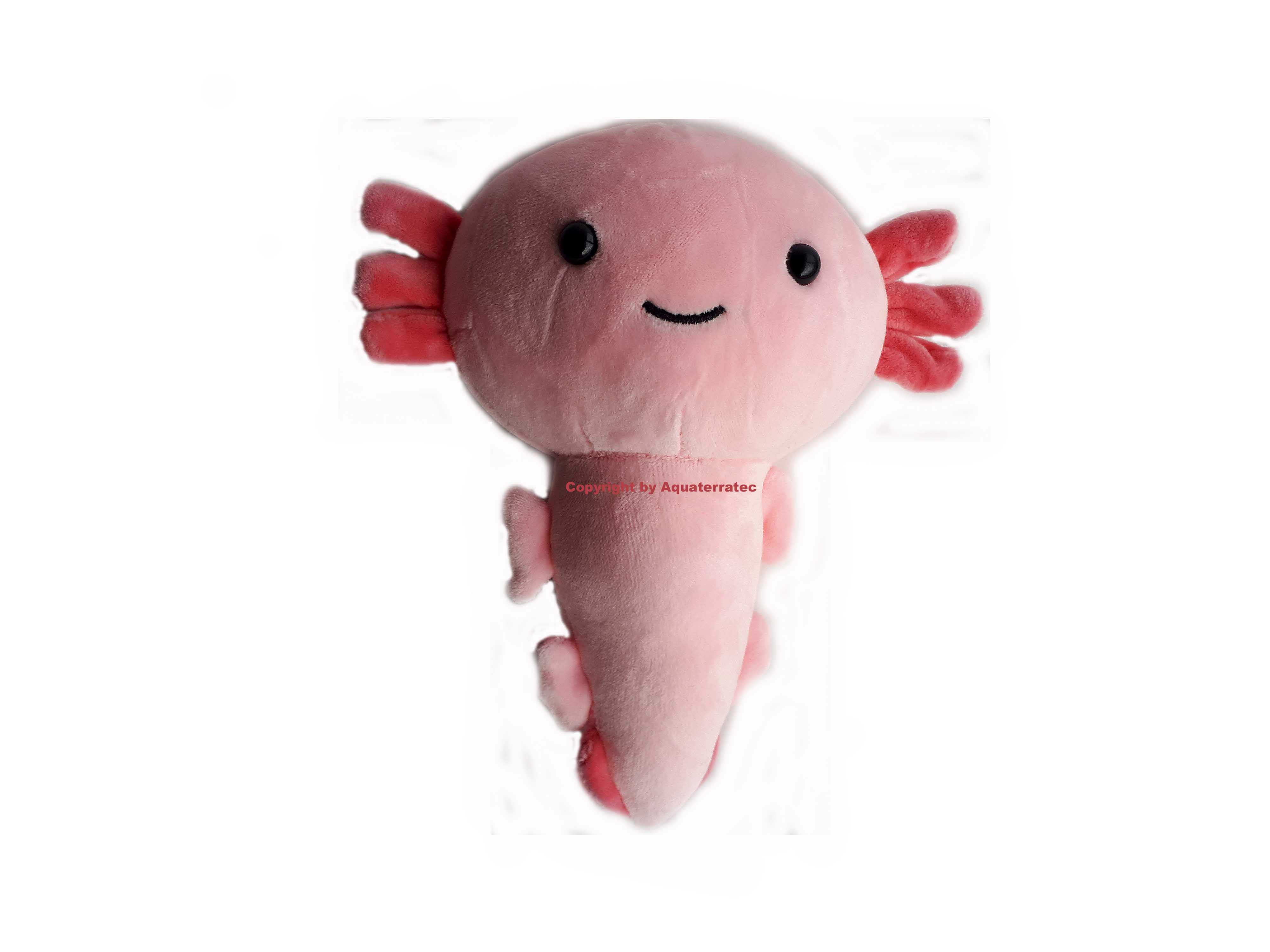 Axolotl - Alles zur erfolgreichen Zucht und Haltung - Axolotl Plüschtier  Rosa