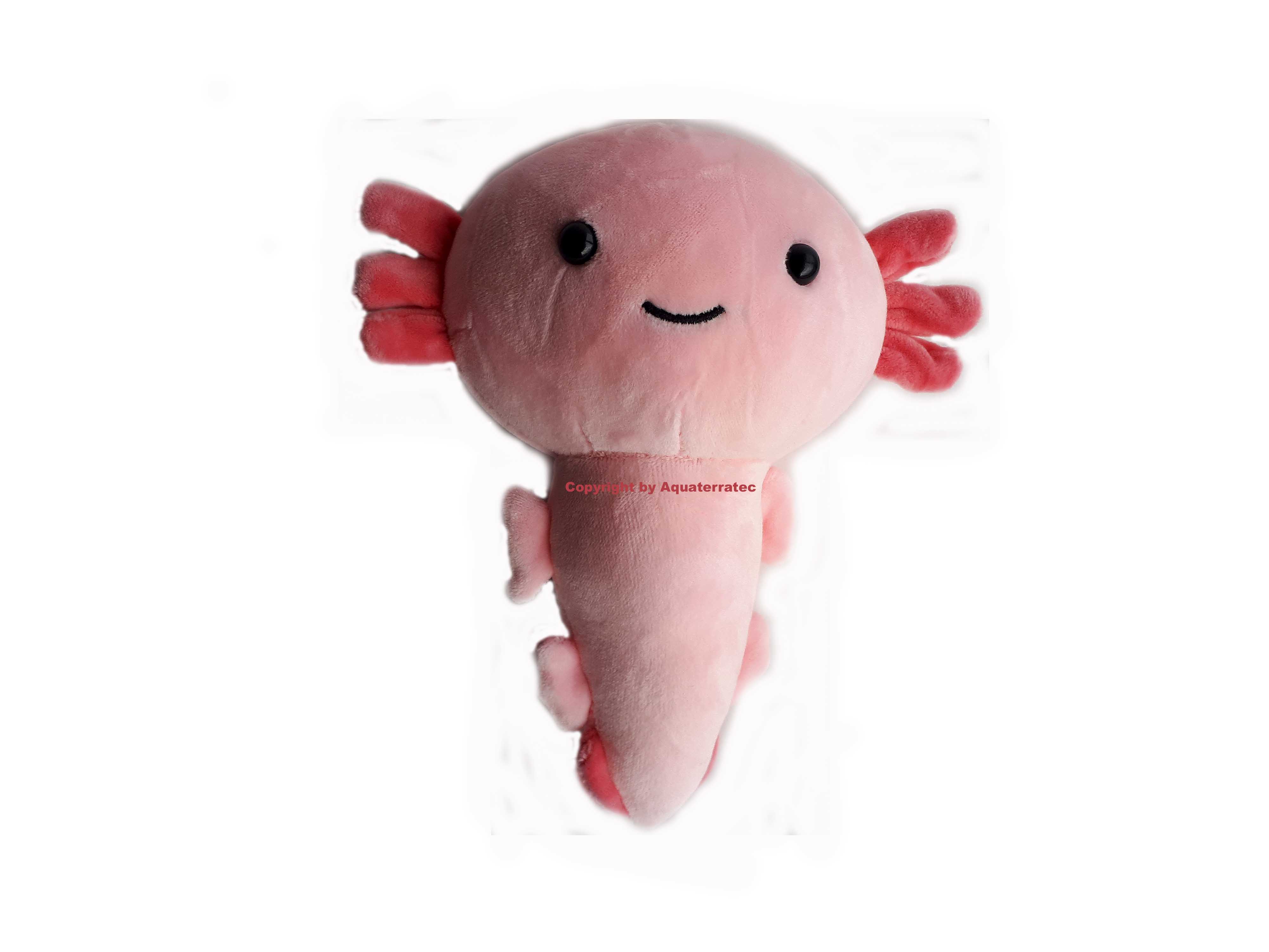 Axolotl Alles zur erfolgreichen Zucht und Haltung Axolotl Pluschtier Rosa