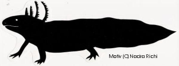 Aufkleber schwarz Axolotl Seitenansicht 10cm