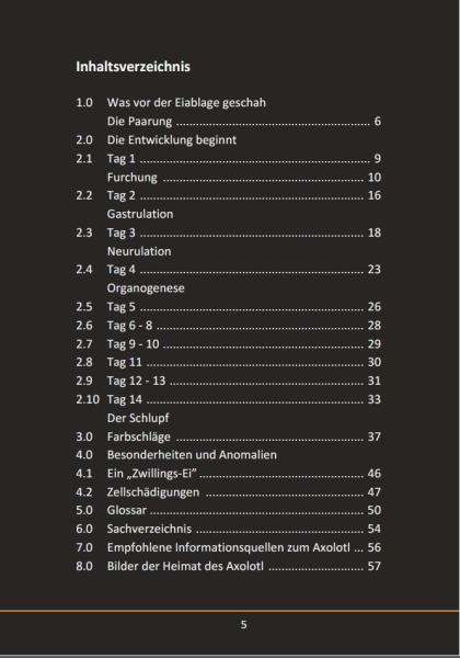 Ein Axolotl entsteht (Taschenbuch 2019)