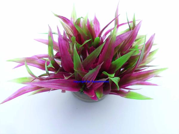 Kunststoffpflanze Amazonia ca. 10 cm