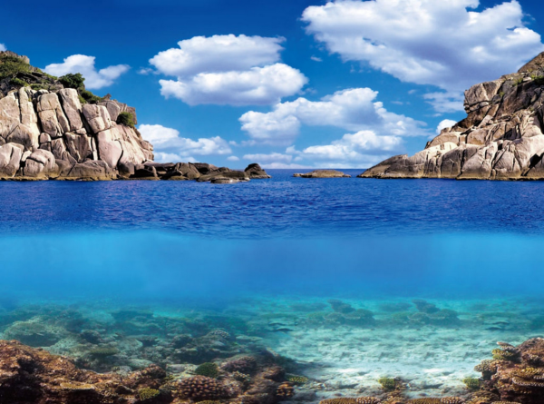 Rückwandfolie Ocean ca.100 x 50 cm