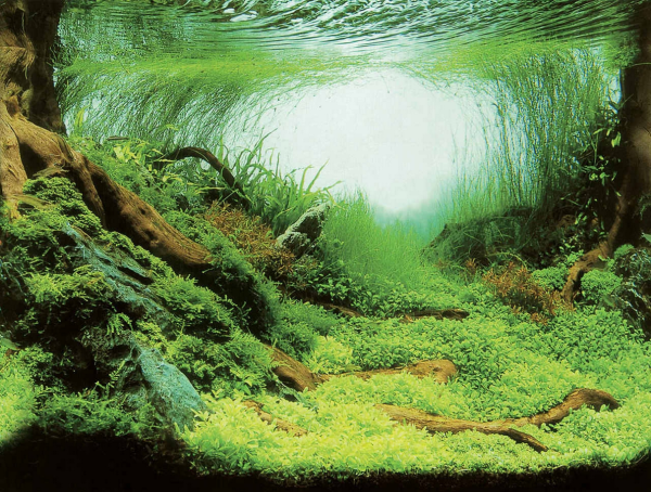 Rückwandfolie Ocean ca.100 x 50 cm