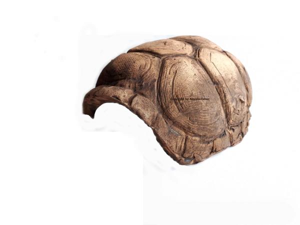 Tonhöhle Schildkrötenpanzer, Größe M