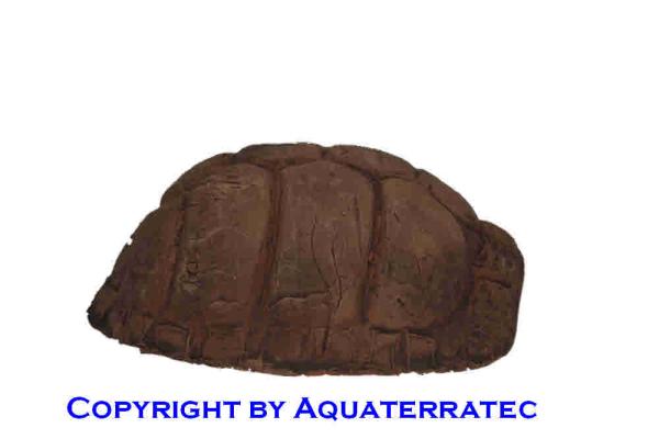 Tonhöhle Schildkrötenpanzer, Größe M
