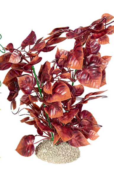 Kunststoffpflanze Anubias nana, rotbraun
