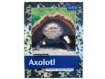 Axolotl ( Joachim Wistuba ) Neue Auflage
