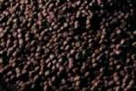 Nachfüllpack Axolotlpellets AXOBALANCE, Large 5,5-6mm, 85 g / (125ml), große Axolotl
