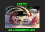 Axolotlkalender 2023
