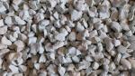 Zeolith 16-32mm Körnung 1000g